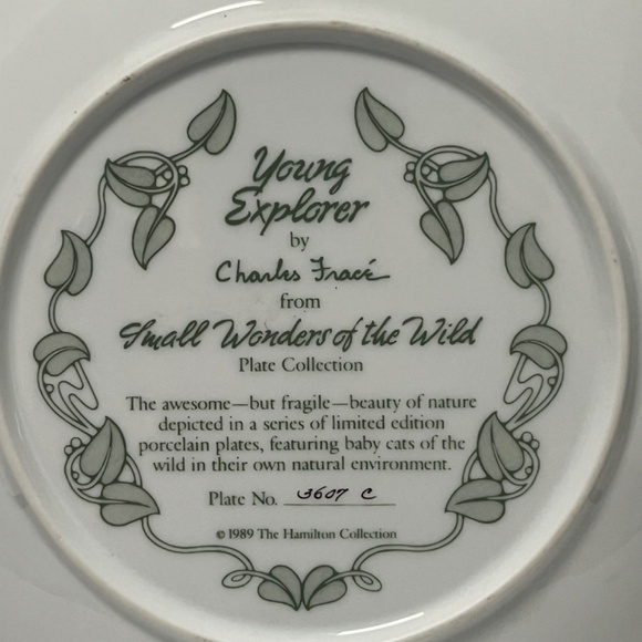 Young Explorer by Charles Fracé  Small Wonders of the Wild Plate # 3607 C - Picture 11 of 13